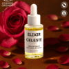 Natural Retinol Alternative Oil Serum